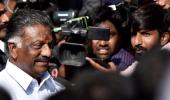 Not seeking CM post, want Sasikala family out: OPS camp