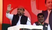 Don't campaign for the donkeys of Gujarat: Akhilesh to Amitabh