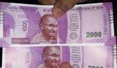 Fake notes from SBI ATM: Cash custodian arrested