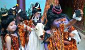 PHOTOS: Country celebrates Maha Shivaratri