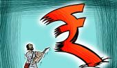 'I would love to see a weak rupee'