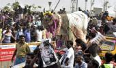 'What Tamil pride when 100 farmers have committed suicide?'