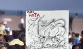 How Jallikattu protests left the State on the backfoot