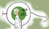 Why Aakar Patel became a vegan