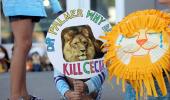 Son of Cecil the lion killed by trophy hunter