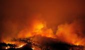 PHOTOS: Massive Portugal forest fire kills 57, injures 59 others