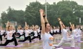 Yoga Day to be marked on digi platforms amid pandemic