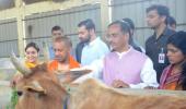 UP CM Yogi visits Aparna Yadav's cow shelter, gives tips on better upkeep