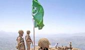 Pakistan's denial: 'Shall never disrespect soldier, even Indian'