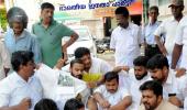 Kerala protests ban on sale of cattle for slaughter, organises beef fests