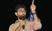 Guj poll: Dalit leader Jignesh Mevani to contest as an independent