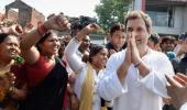 3 state Congress units urge Rahul to take over as party chief