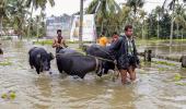 Floods in Kerala due to slaughtering of cows in open: BJP leader