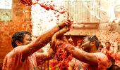 PHOTOS: The great tomato war!