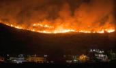 Massive fire erupts in Mumbai's Aarey forest