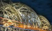 Sneak peek into Amazon's Spheres: $4 billion 'mini-rainforest' in Seattle