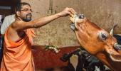 Shiroor mutt seer passes away, poisoning suspected