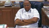 Sharad Pawar not to fight Lok Sabha polls