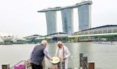 Dendrobrium Narendra Modi: Singapore names orchid after PM