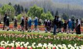 PHOTOS: Inside Kashmir's Valley of Tulips