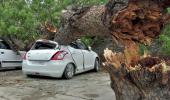 Over 100 killed as dust storm wreaks havoc in UP, Rajasthan