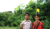 Grow Trees is increasing India's forest cover