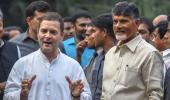 Naidu is Rahul's new troubleshooter