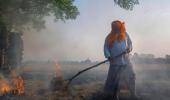 Why Punjab, Haryana farmers are defying ban on stubble burning