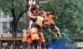 1 dead, 150 injured in dahi handi celebrations in Mumbai