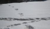 Army claims to have spotted footprints of 'Yeti'