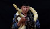 The firefighter who catches snakes with his bare hands