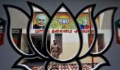 Watershed year for BJP but new challenges emerge