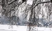 PHOTOS: A white, wonderful Kashmir!