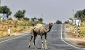 Coping with the heat in India's hottest city