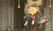 Controversial 54-yr-old tusker opens Thrissur Pooram