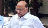 Won't blame EVMs for defeat: Sharad Pawar