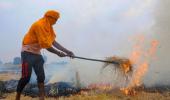 Why stubble burning will continue to choke NCR