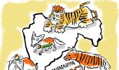 Maharashtra's Jungle Book