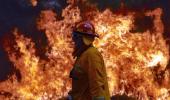 2.5 mn acres on fire: Australia's worst bushfires