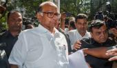 7 'rebel' NCP MLAs pledge loyalty to Sharad Pawar