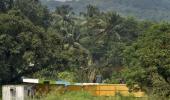 HC refuses stay on felling of trees at Aarey