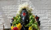 Auckland to Tiruppur: Bringing home Ganpati Bappa