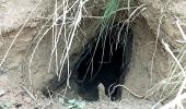 BSF detects 20-ft-long tunnel along India-Pak border