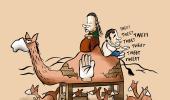 Did Rajasthan tussle scuttle Rahul's return?