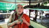 This monk offers shelter to snakes in monastery