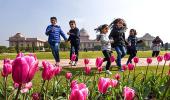 Rashtrapati Bhavan's Mughal Garden is in full bloom!