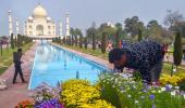 Taj Mahal gets a makeover before Trumps visit Agra