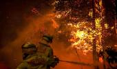 PHOTOS: Horror of Australia's wildfires emerge