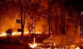 Bushfires: Can we work on climate, pleads Ashwin