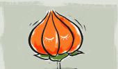 Return of the Bharatiya 'Baniya' Party